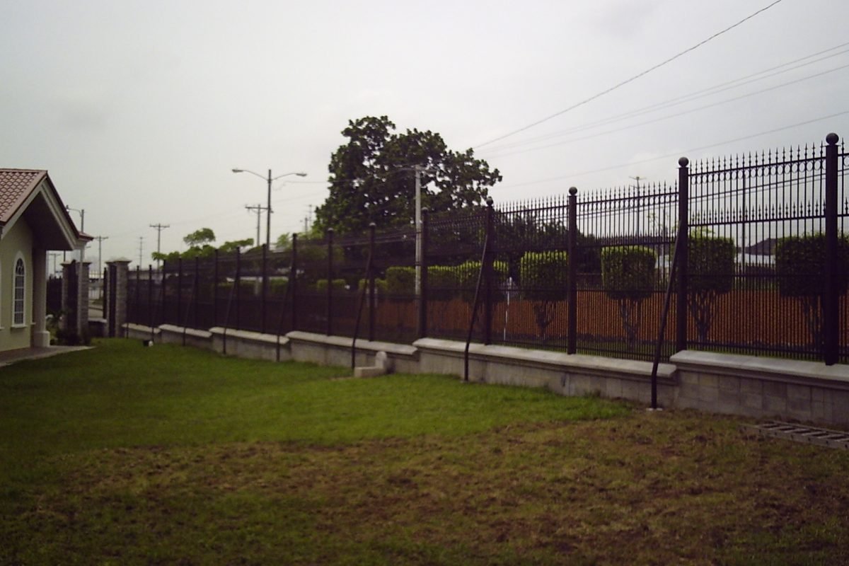 My beautiful picture