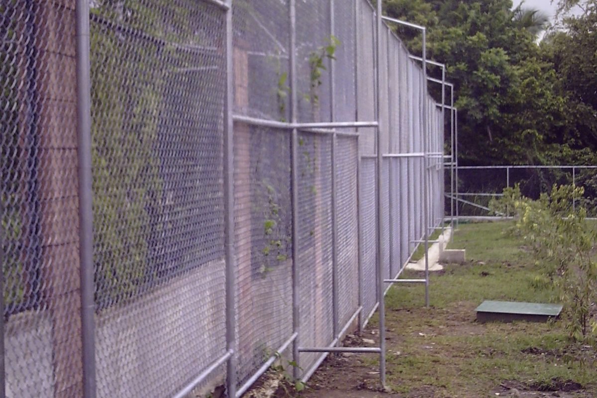 My beautiful picture