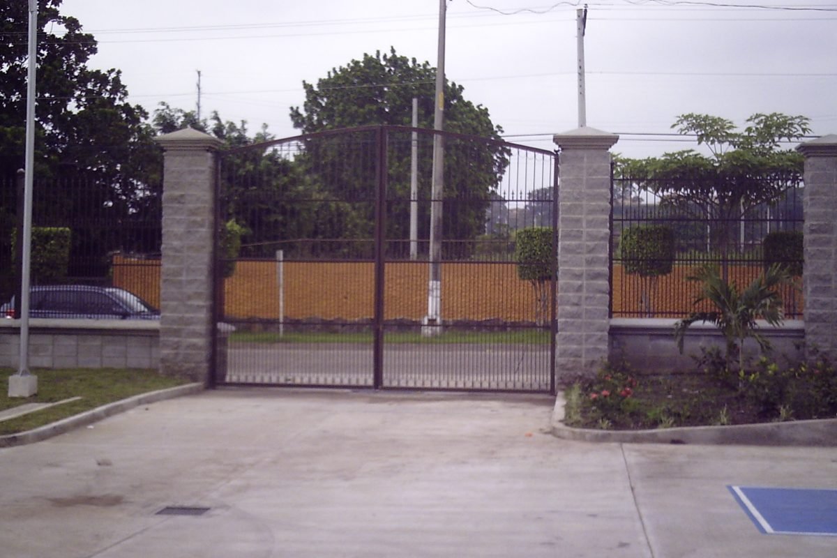 My beautiful picture