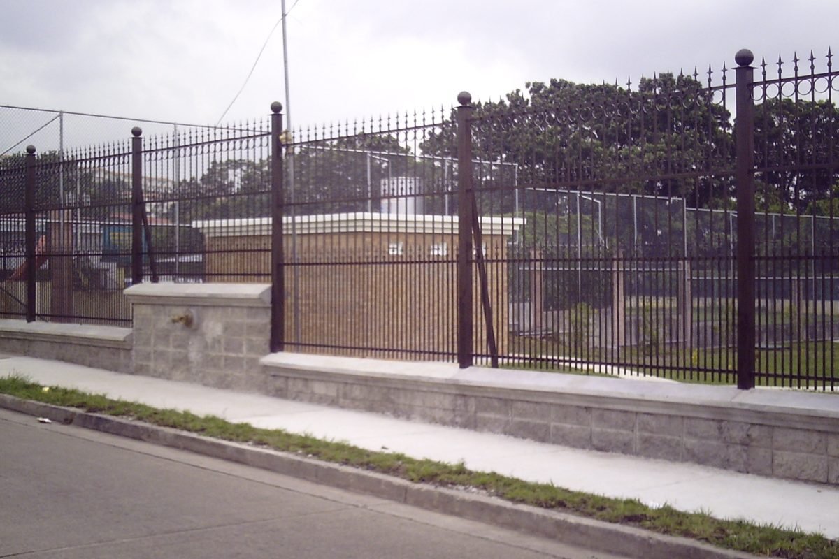 My beautiful picture