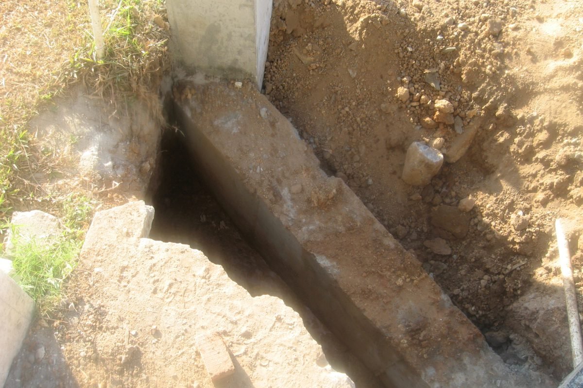 PROYECTO VACAMONTE 100