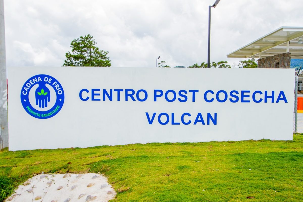 WhatsApp Image 2024-07-31 at 6.04.13 PM