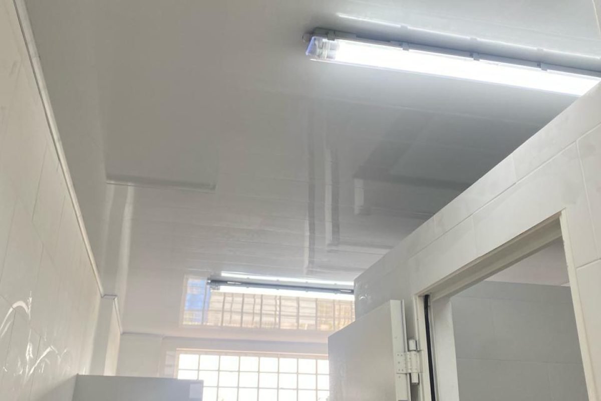 WhatsApp Image 2024-09-15 at 7.09.07 PM (1)