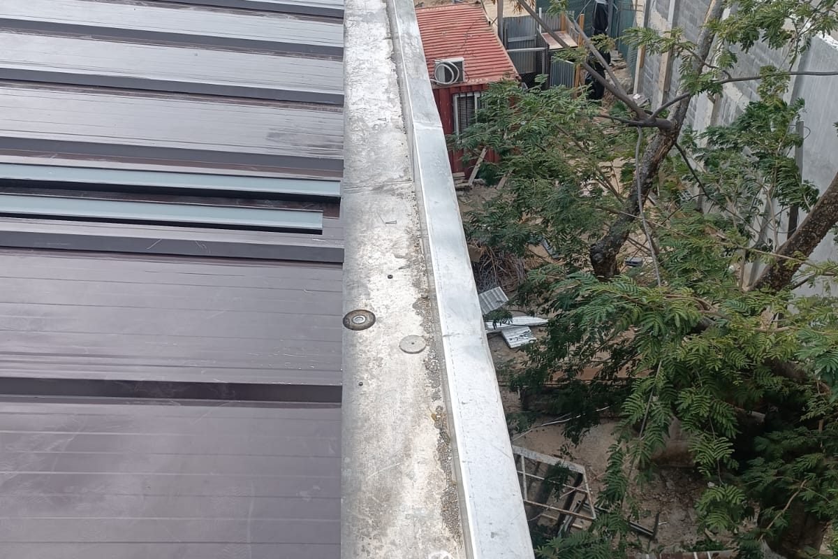 WhatsApp Image 2024-12-26 at 1.58.34 PM (1)