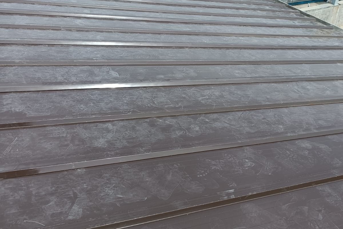 WhatsApp Image 2024-12-26 at 1.58.34 PM (2)