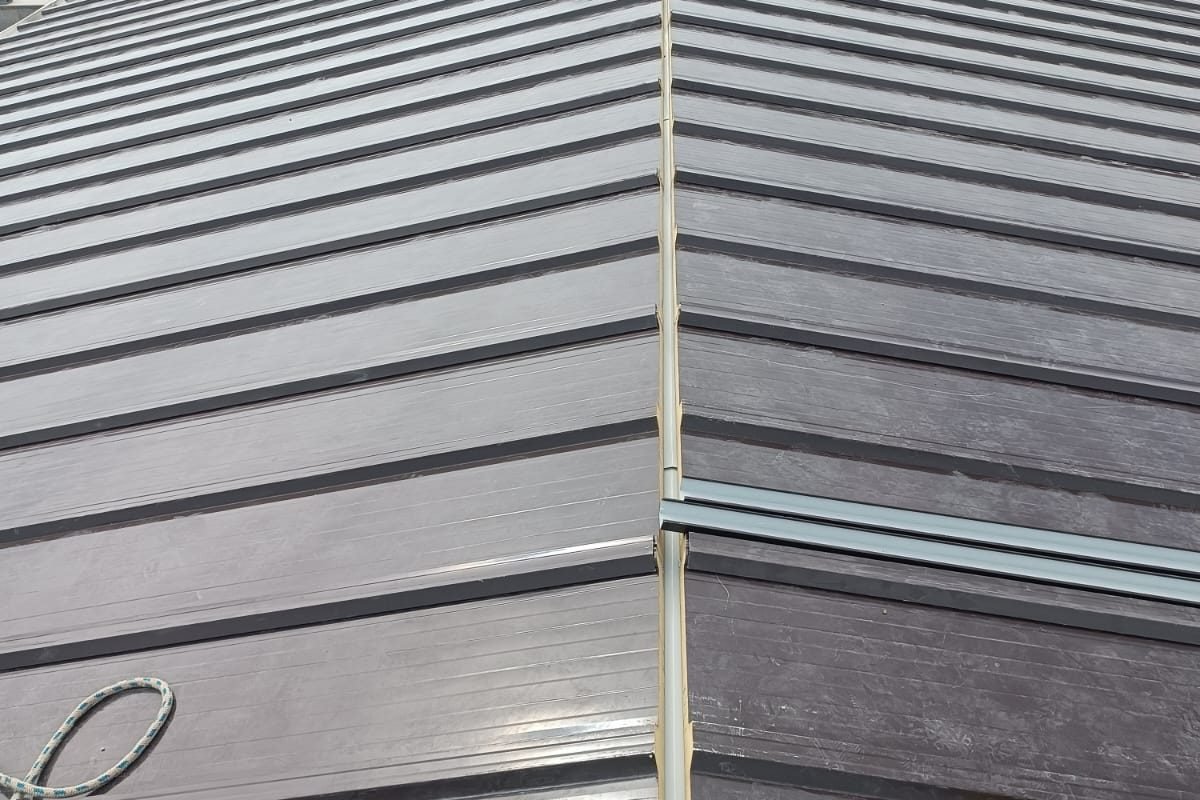 WhatsApp Image 2024-12-26 at 1.58.35 PM