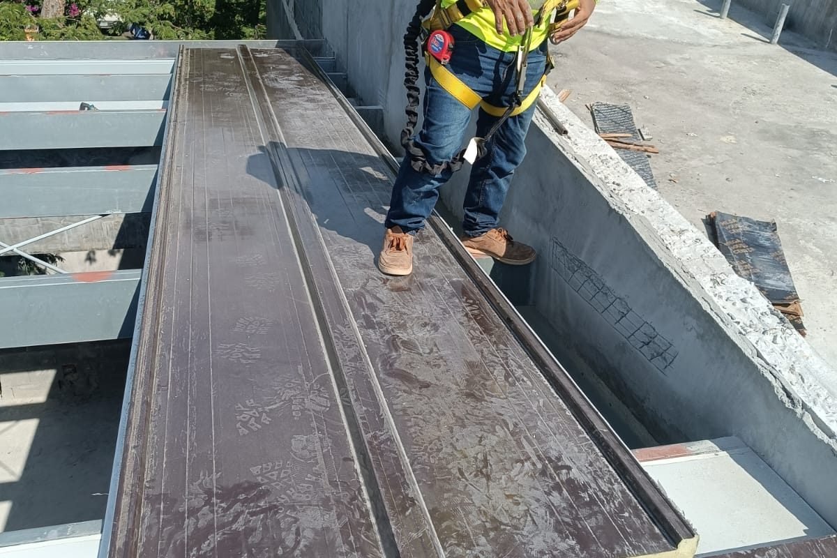 WhatsApp Image 2024-12-26 at 1.59.49 PM (1)