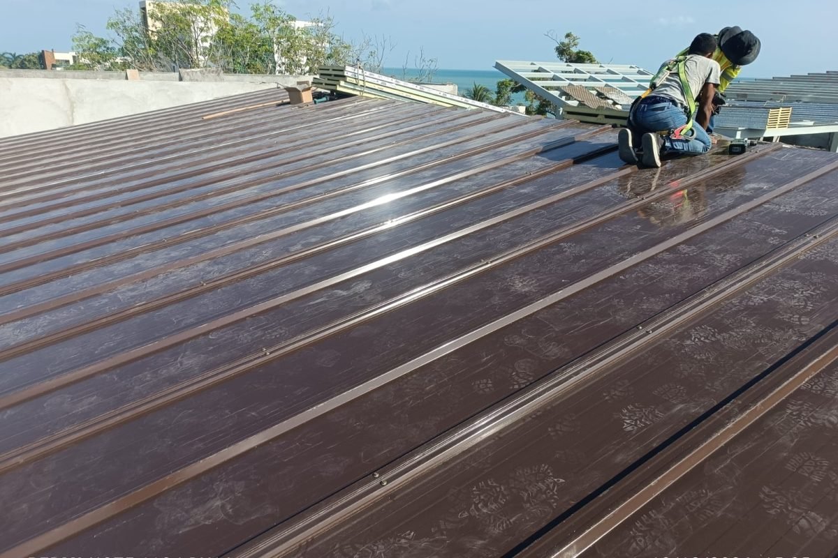 WhatsApp Image 2024-12-26 at 1.59.49 PM (2)