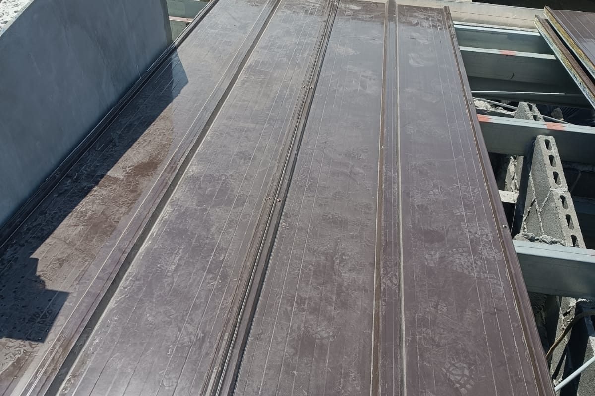 WhatsApp Image 2024-12-26 at 1.59.49 PM