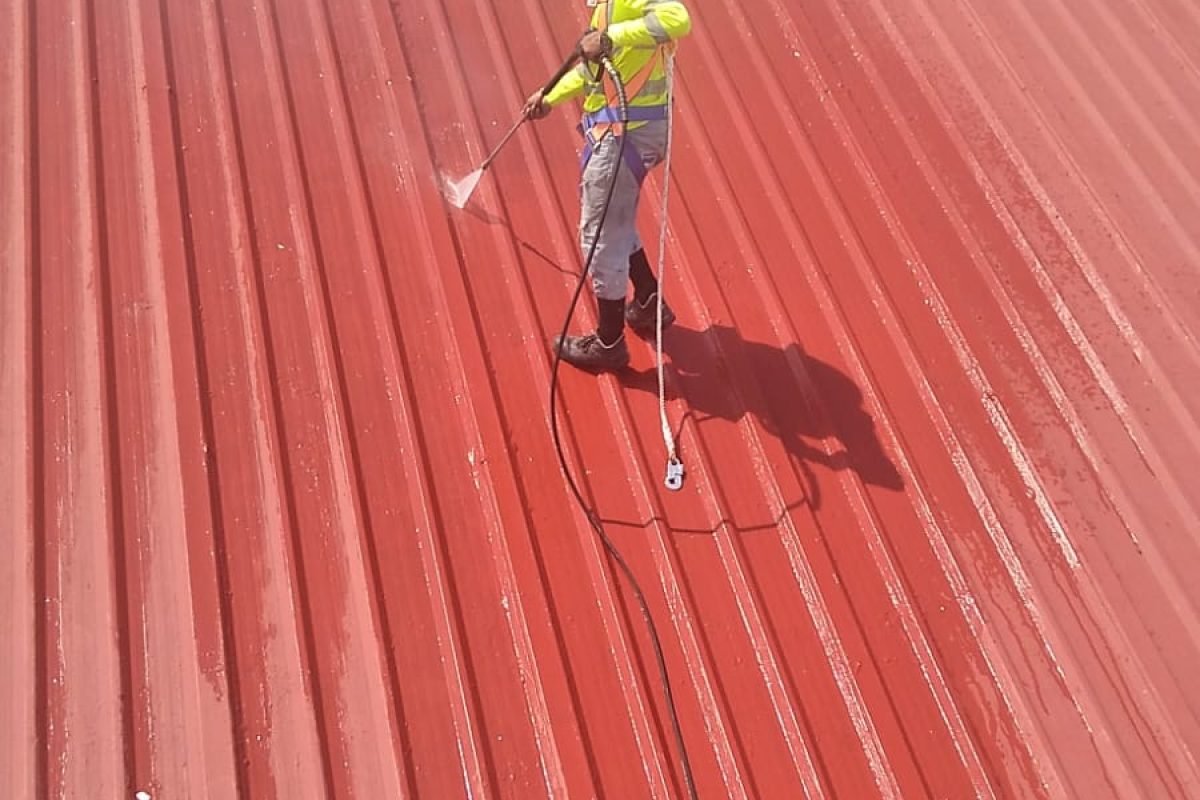 WhatsApp Image 2025-03-25 at 2.24.20 PM