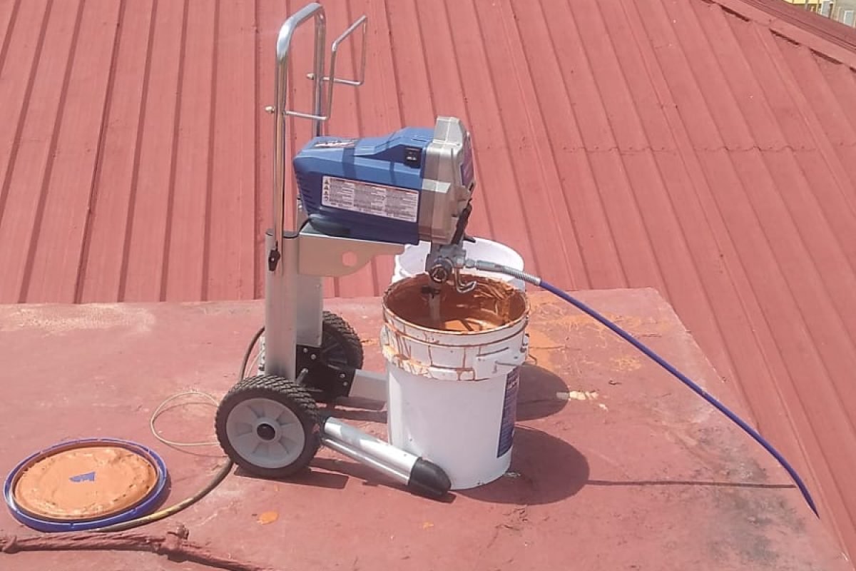 WhatsApp Image 2025-03-26 at 1.50.23 PM