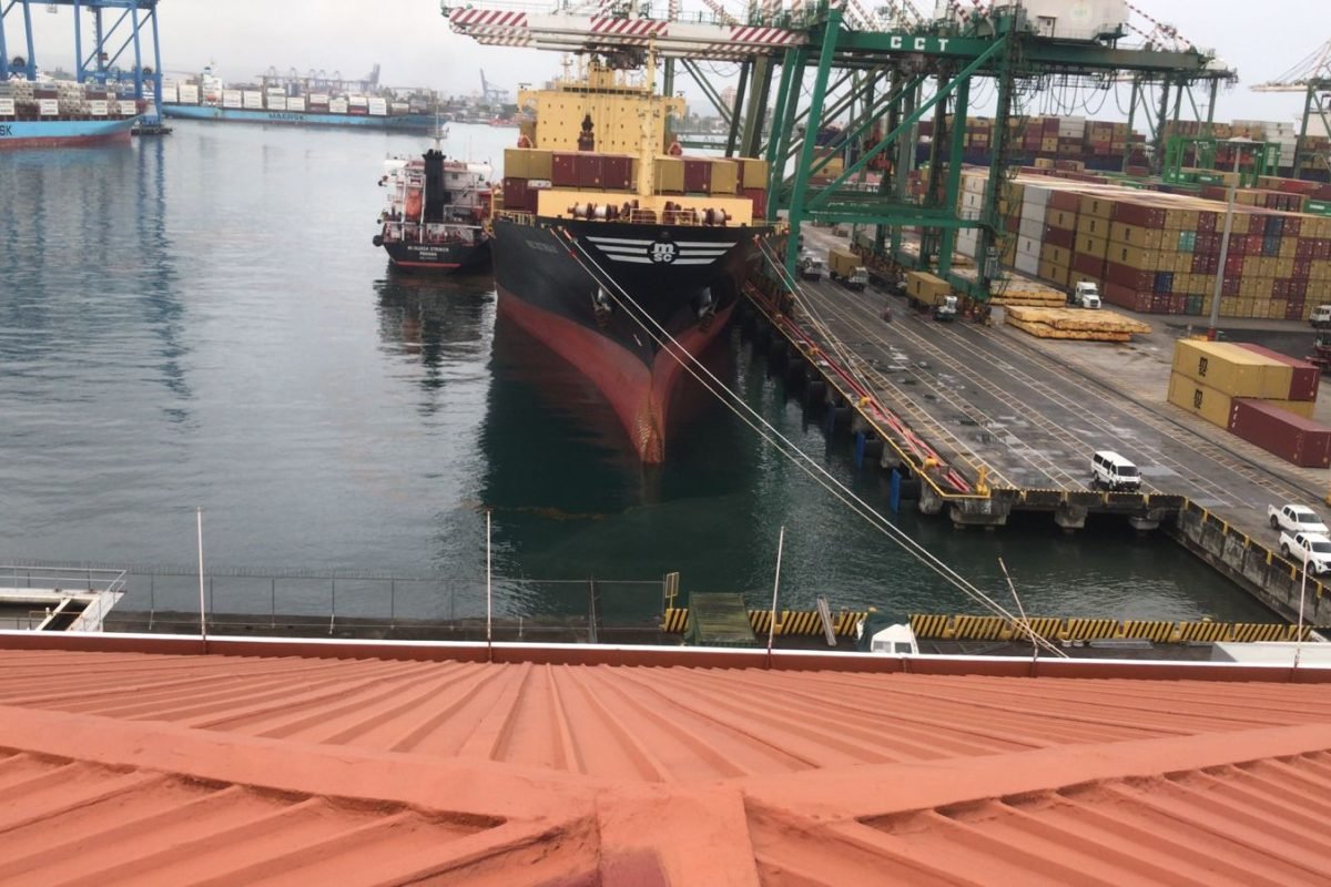 WhatsApp Image 2025-04-04 at 10.42.47 AM