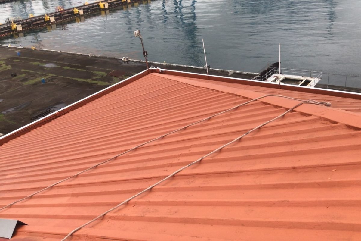 WhatsApp Image 2025-04-04 at 10.44.05 AM