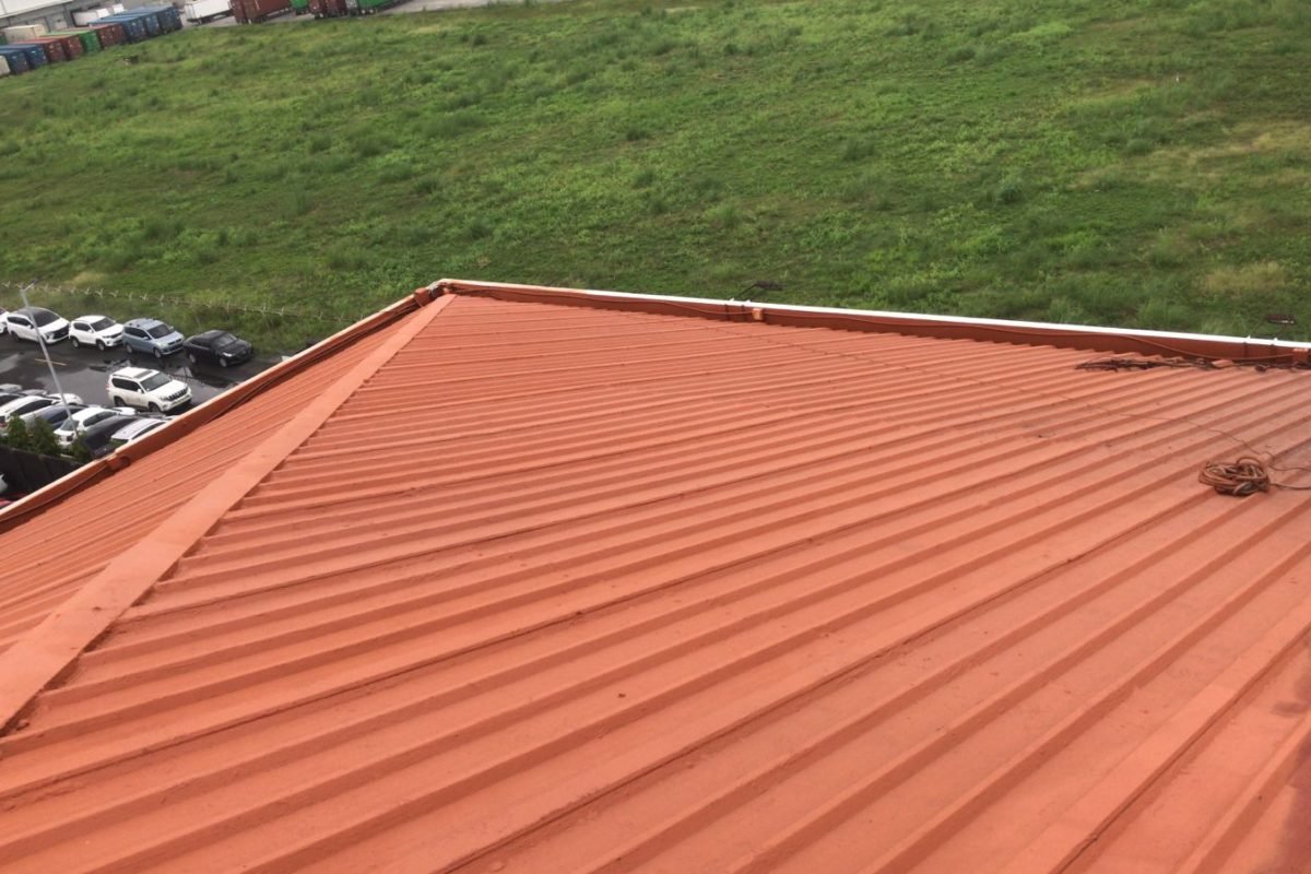 WhatsApp Image 2025-04-04 at 10.45.50 AM