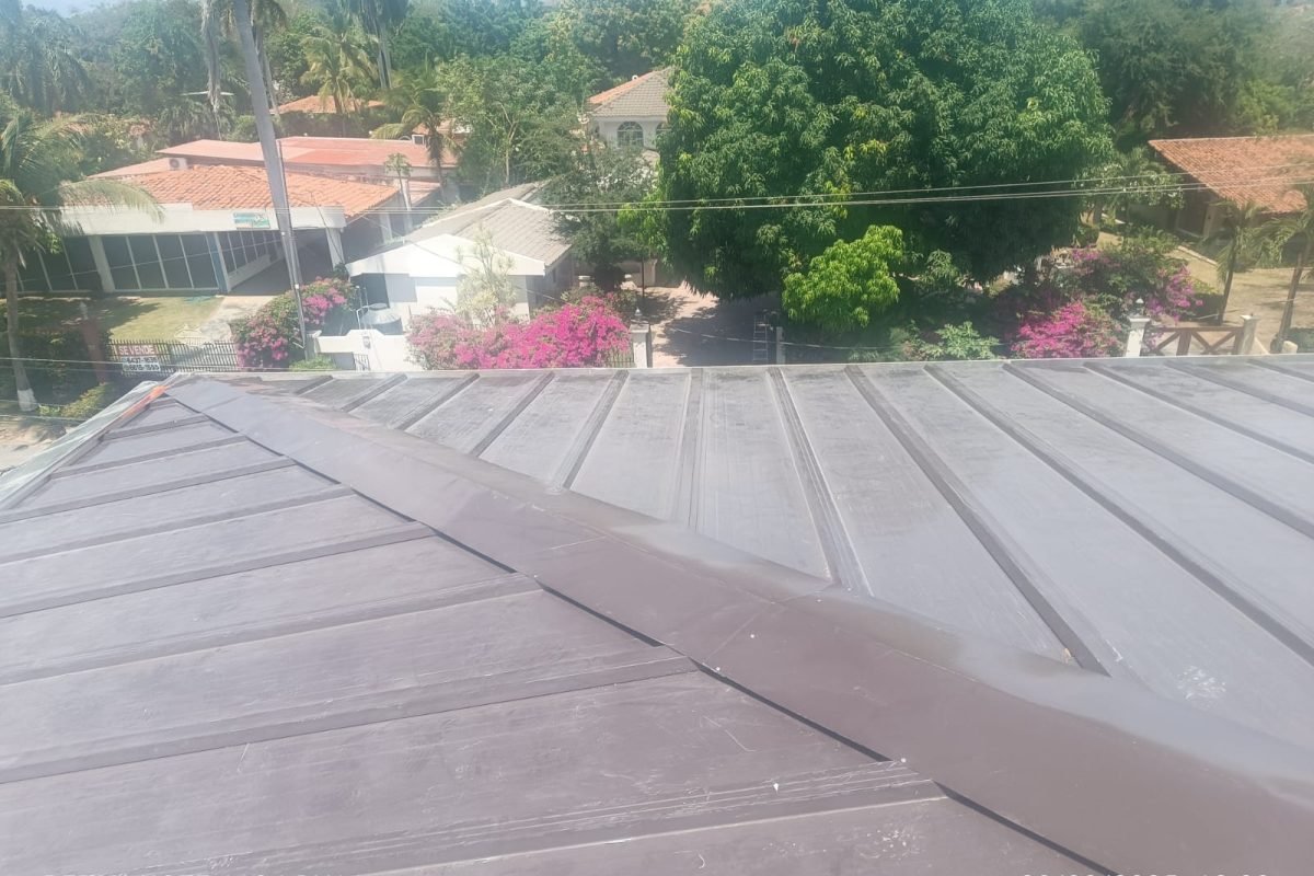 WhatsApp Image 2025-10-16 at 2.04.05 PM