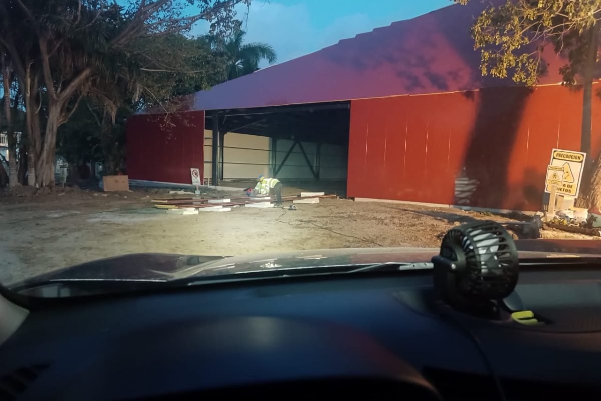 WhatsApp Image 2025-11-07 at 11.23.50 AM