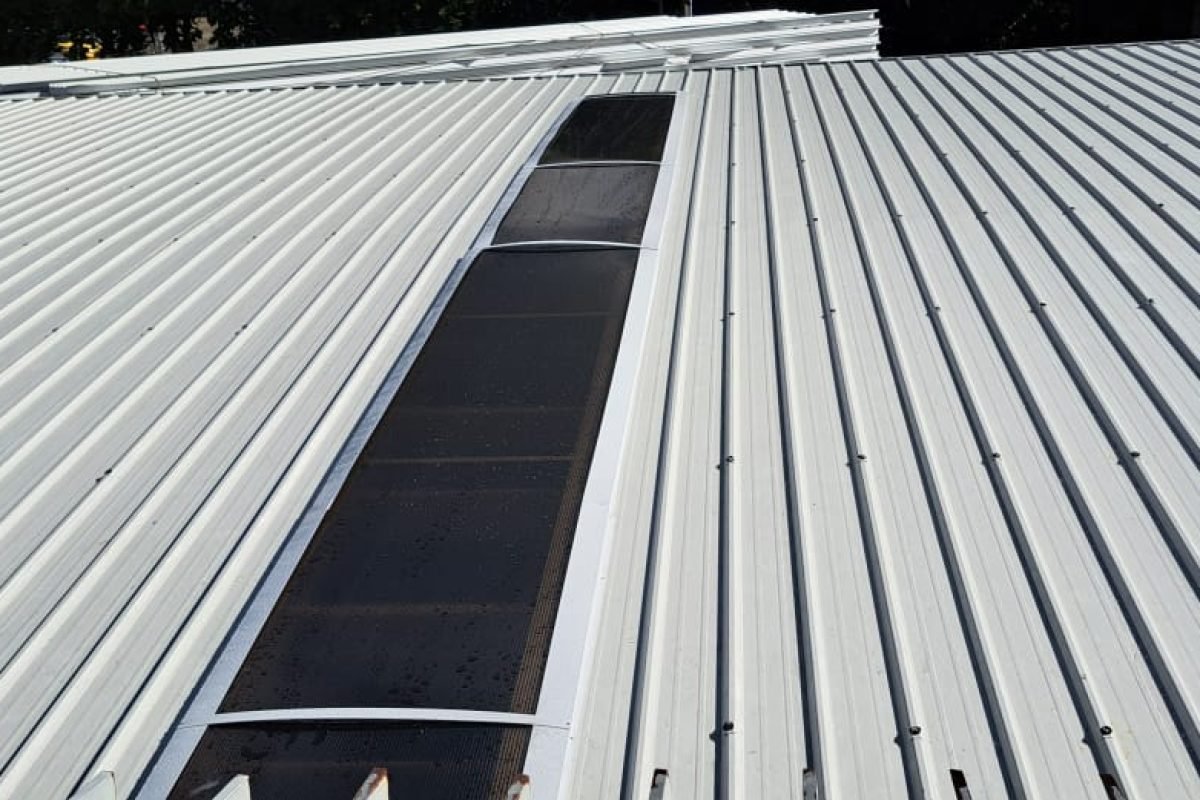 WhatsApp Image 2025-11-07 at 12.01.47 PM (3)