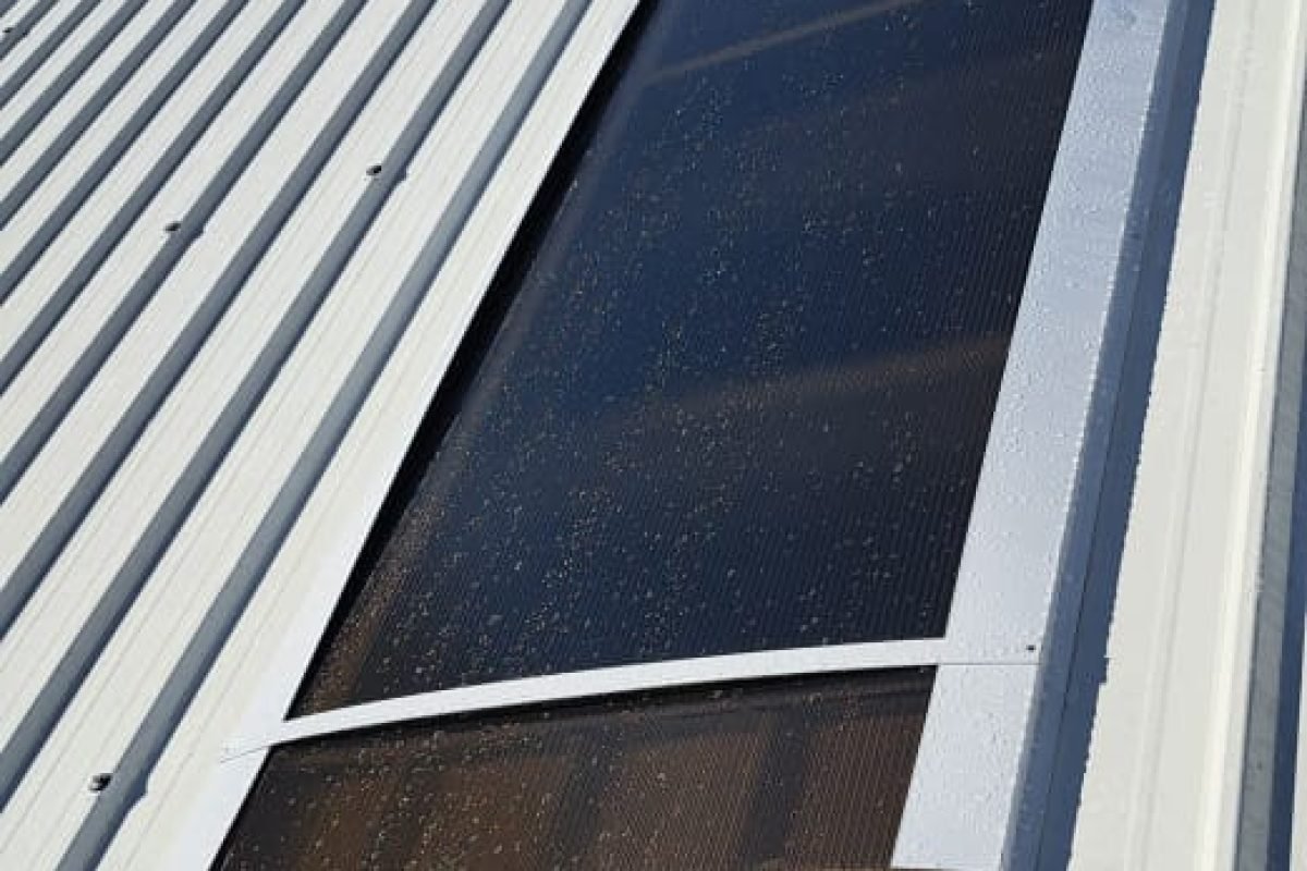 WhatsApp Image 2025-11-07 at 12.01.47 PM (4)