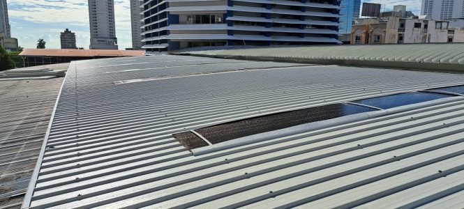 WhatsApp Image 2025-11-07 at 12.01.48 PM (1)