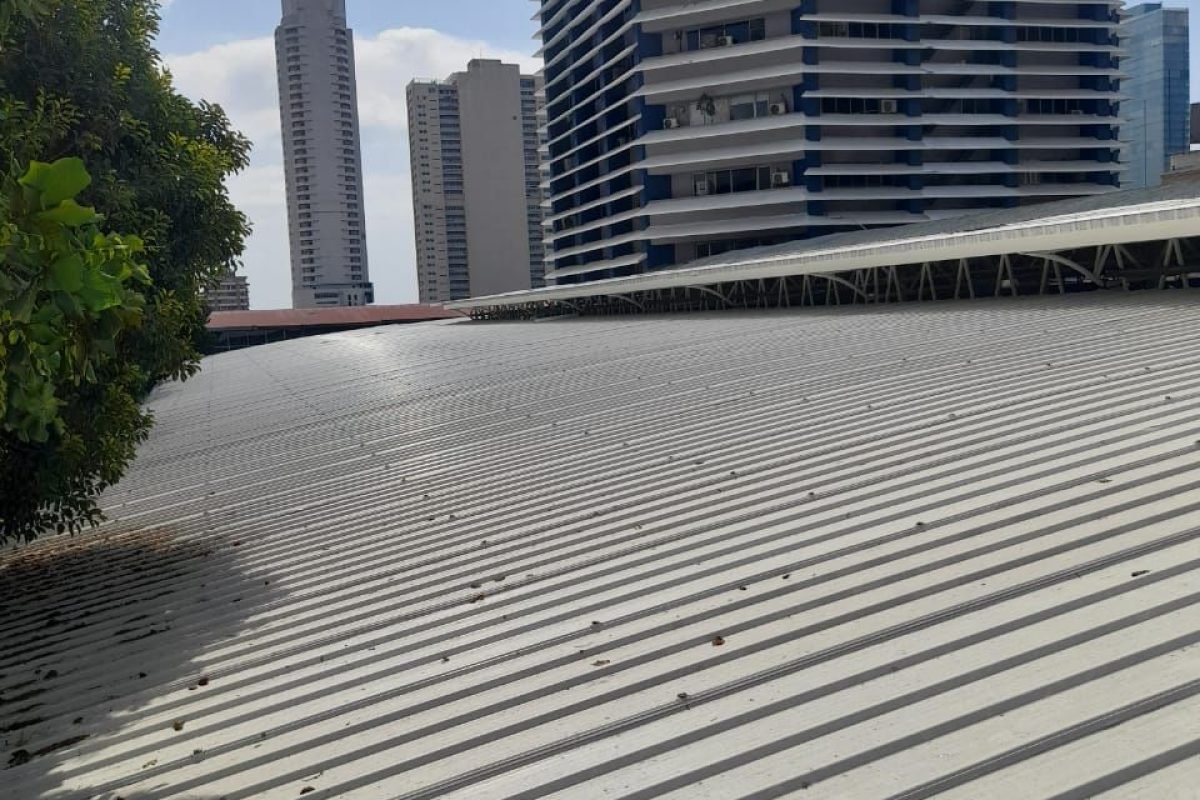 WhatsApp Image 2025-11-07 at 12.01.48 PM (3)