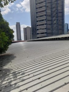 WhatsApp Image 2025-11-07 at 12.01.48 PM (3)