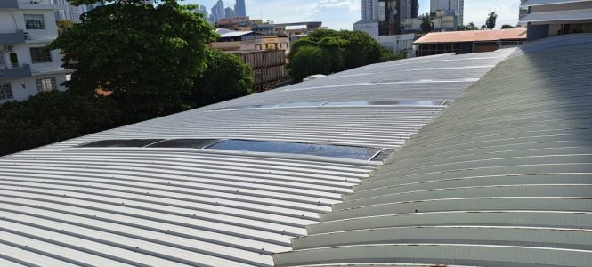 WhatsApp Image 2025-11-07 at 12.01.48 PM