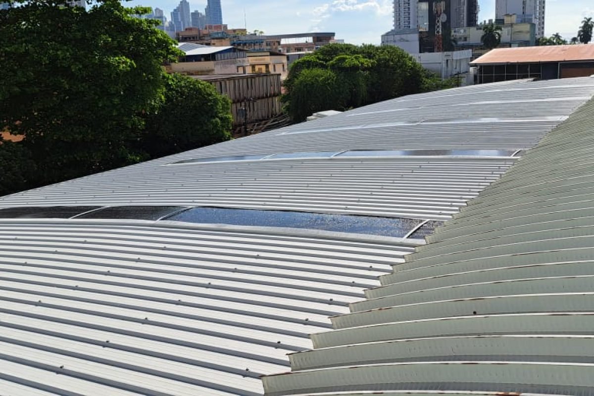 WhatsApp Image 2025-11-07 at 12.01.48 PM