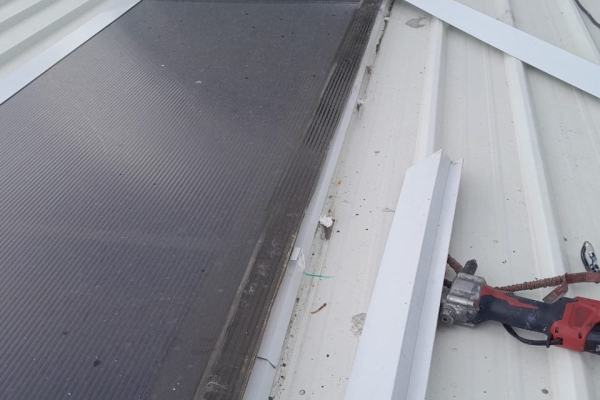 WhatsApp Image 2025-11-07 at 12.01.50 PM