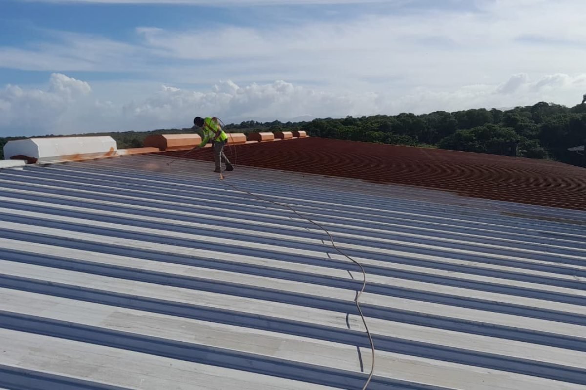 WhatsApp Image 2025-12-04 at 9.08.43 AM