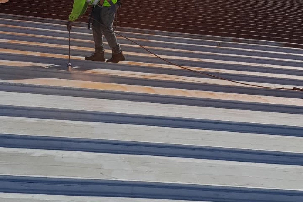 WhatsApp Image 2025-12-04 at 9.09.48 AM