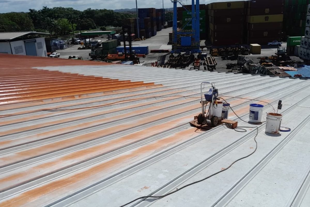 WhatsApp Image 2025-12-05 at 11.24.50 AM