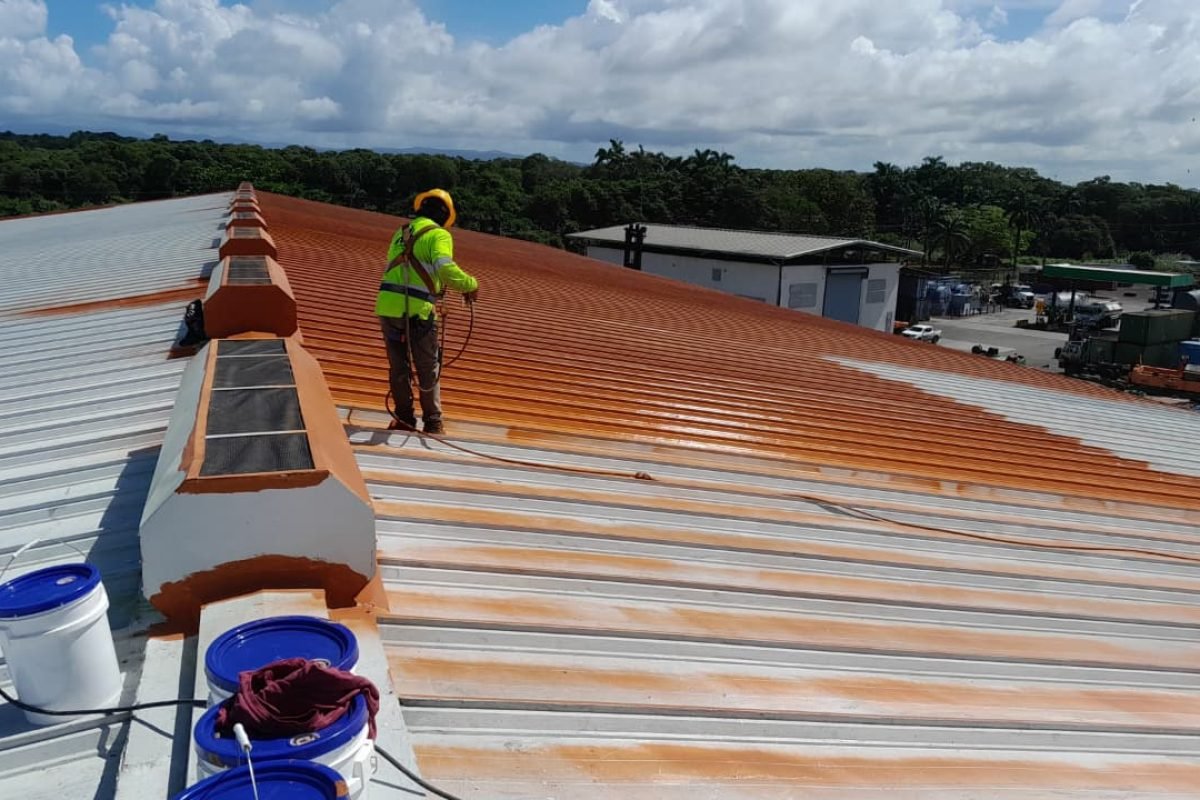 WhatsApp Image 2025-12-05 at 11.25.00 AM